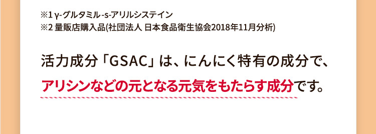 ※1 γ-グルタミン-s-アリルシステイン※2 量販店購入品(社団法人 日本食品衛生協会2018年11月分析)活力成分「GSAC」は、にんにく特有の成分で、アリシンなどの元となる元気をもたらす成分です。