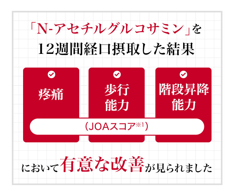 「N-アセチルグルコサミン」を12週間経口摂取した結果 疼痛・歩行能力・階段昇降能力において有意な改善が見られました