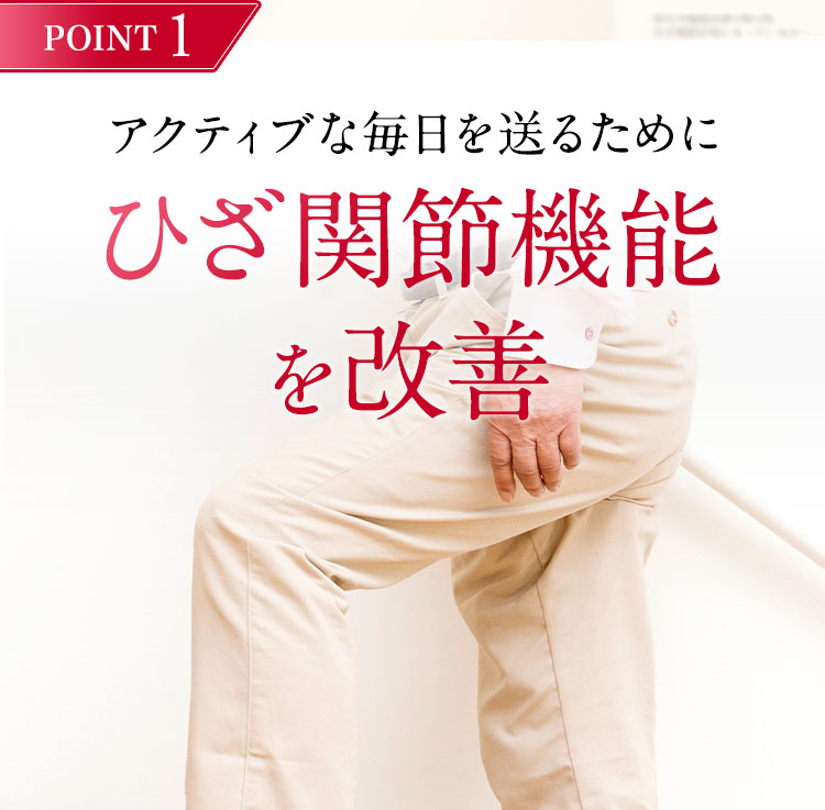 POINT1 アクティブな毎日を送るためにひざ関節機能を改善