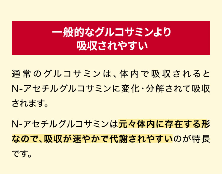 一般的なグルコサミンより吸収されやすい