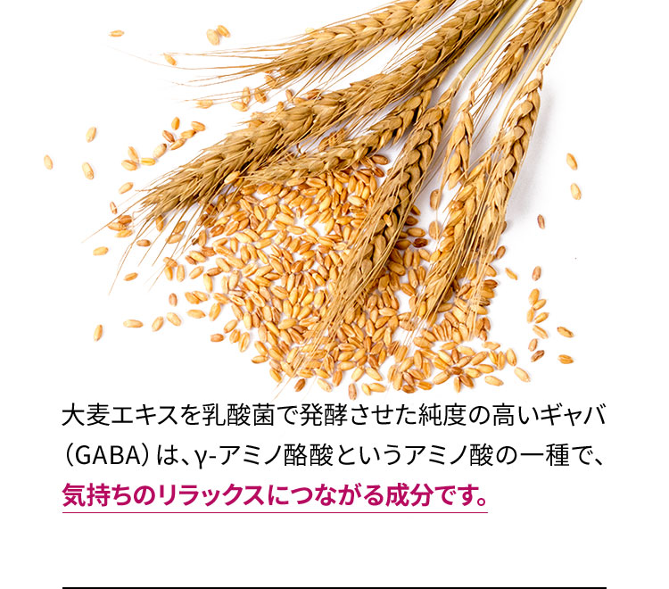 大麦エキスを乳酸菌で発酵させた純度の高いギャバ（GABA）は、γ-アミノ酪酸というアミノ酸の一種で、気持ちのリラックスにつながる成分です。