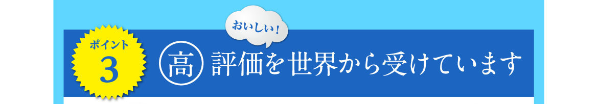 ポイント3 | 高評価を世界から受けています