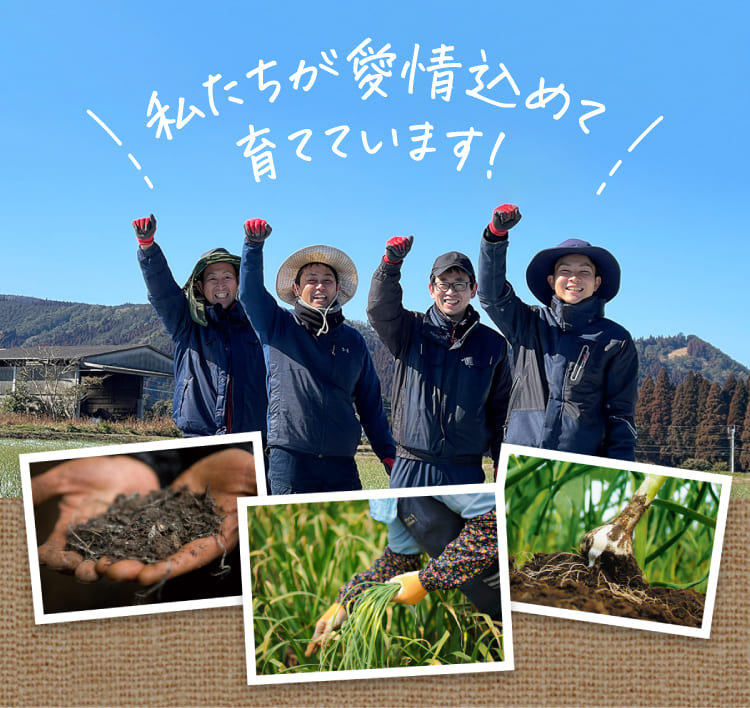私たちが愛情込めて育てています!