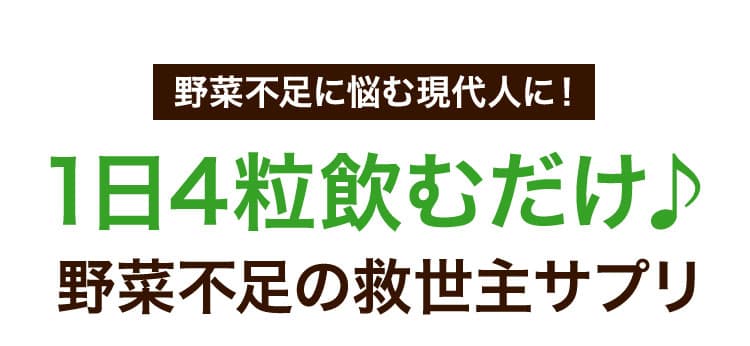 野菜不足に悩む現代人に！1日4粒飲むだけ♪野菜不足の救世主サプリ