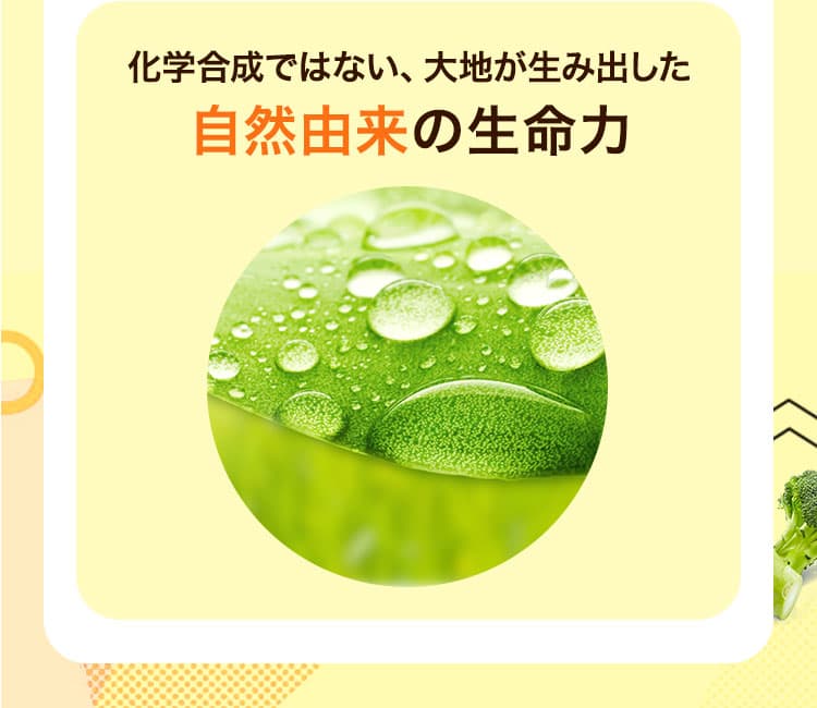 化学合成ではない、大地が生み出した自然由来の生命力