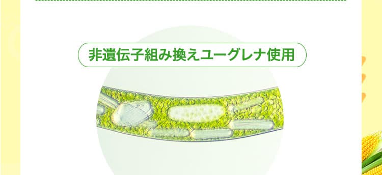 非遺伝子組み換えユーグレナ使用
