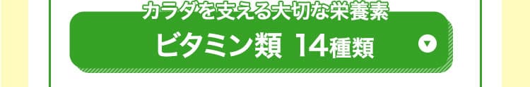 ビタミン類14種類