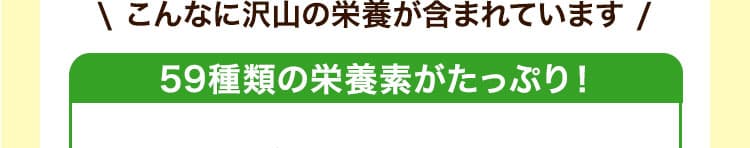 \ こんなに沢山の栄養が含まれています /