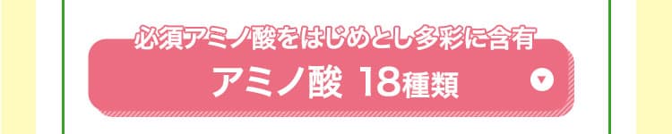 アミノ酸 18種類