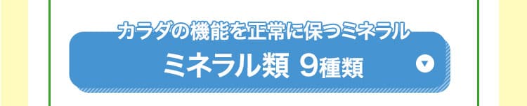 ミネラル類 9種類
