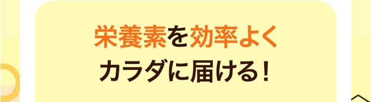 栄養素を効率よくカラダに届ける！