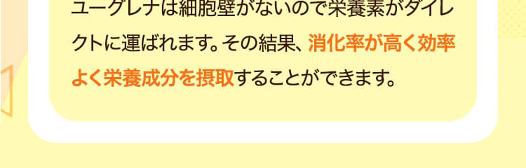 ユーグレナは細胞壁がないので栄養素がダイレクトに運ばれます。その結果、消化率が高く効率よく栄養成分を摂取することができます。