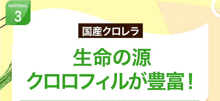 ３　国産クロレラ　高い消化吸収率で良質な栄養届ける