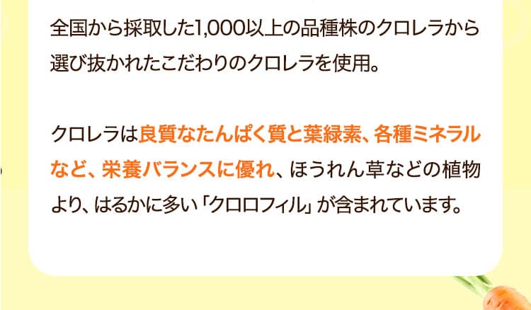 全国から採取した1,000以上の品種株のクロレラから選び抜かれたこだわりのクロレラを使用。クロレラは良質なたんぱく質と葉緑素、各種ミネラルなど、栄養バランスに優れ、ほうれん草などの植物より、はるかに多い「クロロフィル」が含まれています。