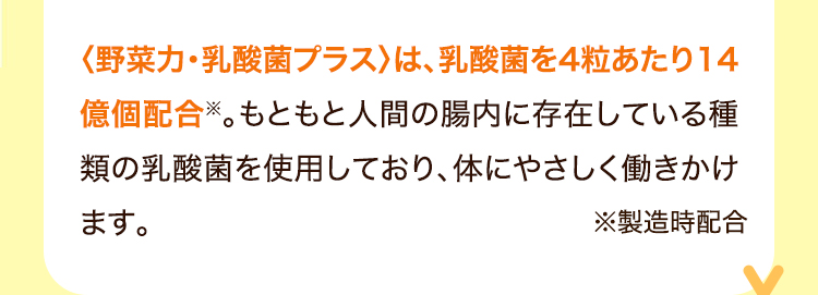 乳酸菌