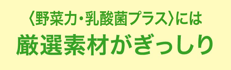 厳選素材がぎっしり