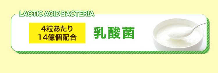 ・4粒あたり14億個配合　乳酸菌