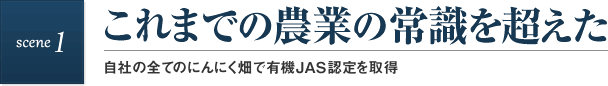 scene1 これまでの農業の常識を超えた 自社の全てのにんにく畑で有機JAS認定を取得