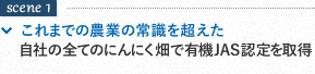 scene1 これまでの農業の常識を超えた自社の全てのにんにく畑で有機JAS認定を取得