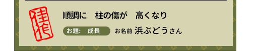 佳作　順調に　柱の傷が　高くなり　お題　成長　お名前　浜ぶどうさん