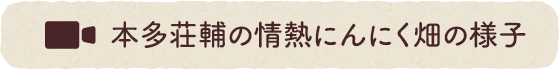 今年の収穫の様子