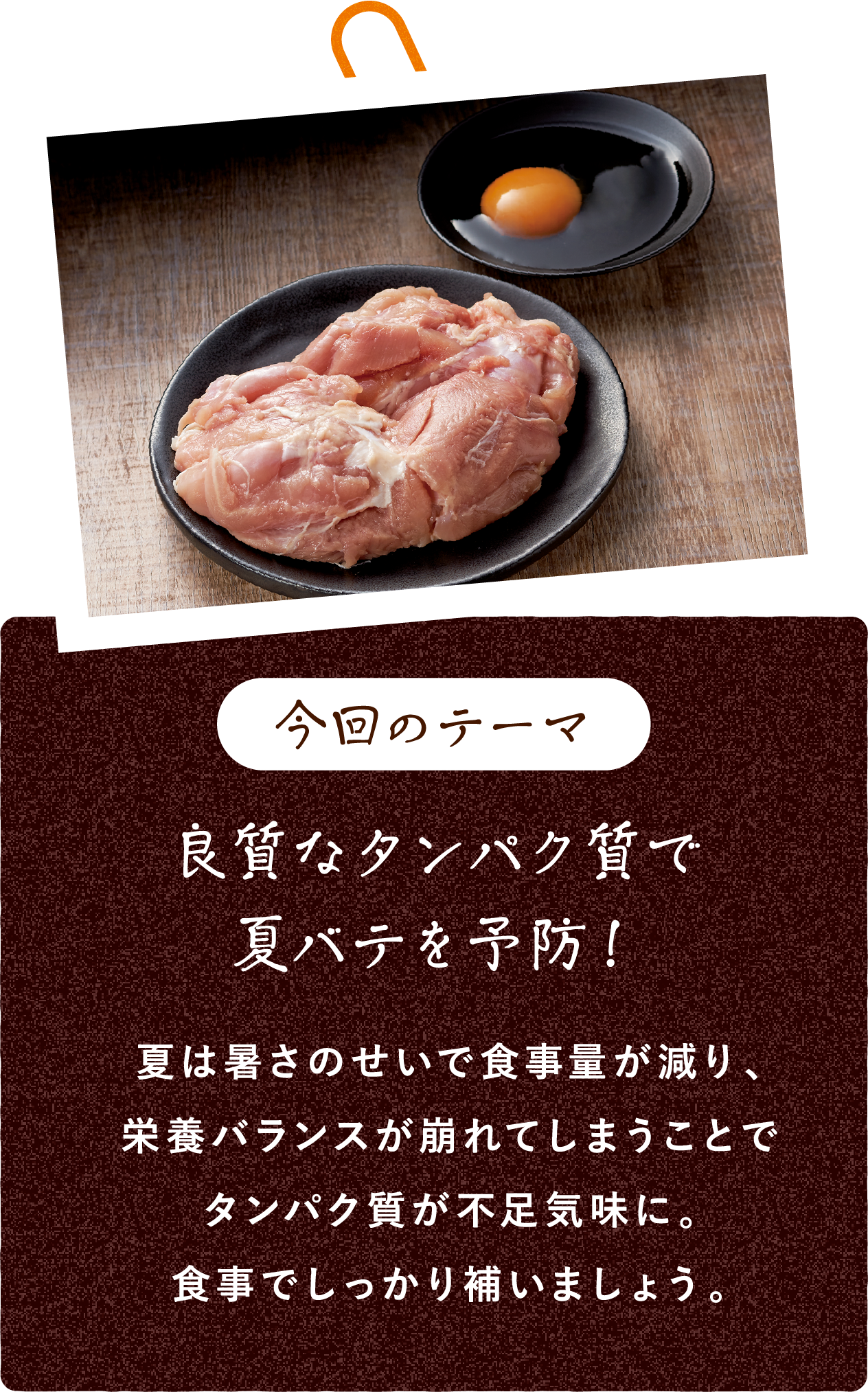 今回のテーマ 良質なタンパク質で夏バテを予防!