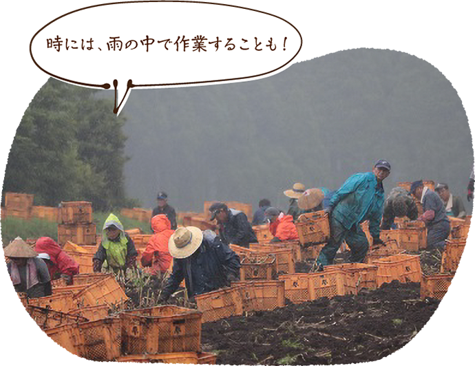 時には、雨の中で作業することも!