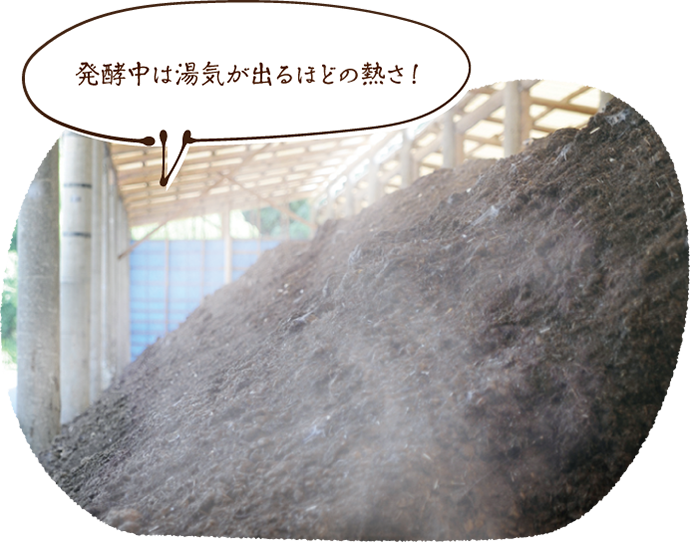 発酵中は湯気が出るほどの熱さ!