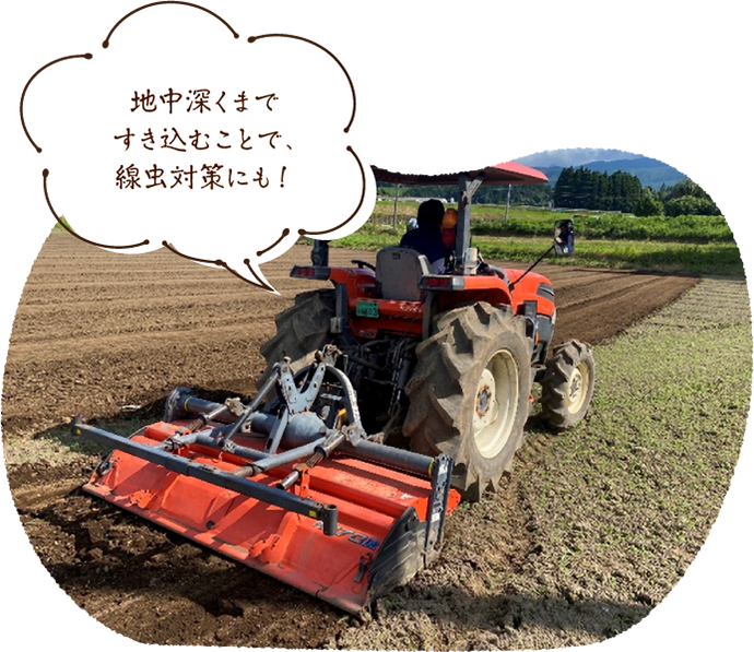 地中深くまですき込むことで、線虫対策にも!