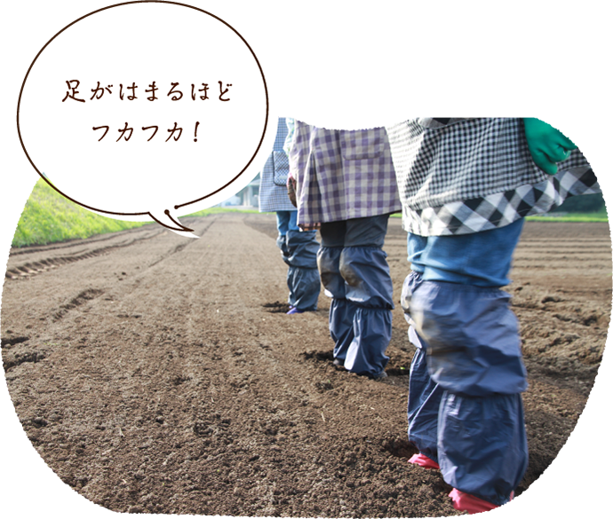 足がはまるほどフカフカ!