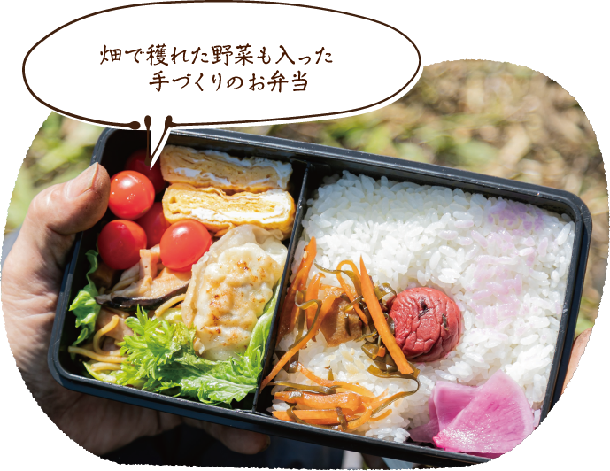 畑で穫れた野菜も入った手づくりのお弁当
