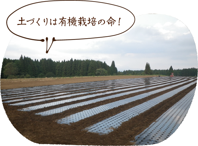 土づくりは有機栽培の命！