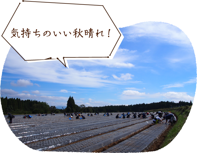 気持ちのいい秋晴れ!