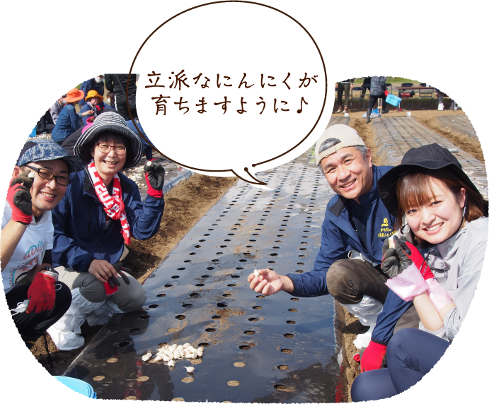 立派なにんにくが育ちますように♪