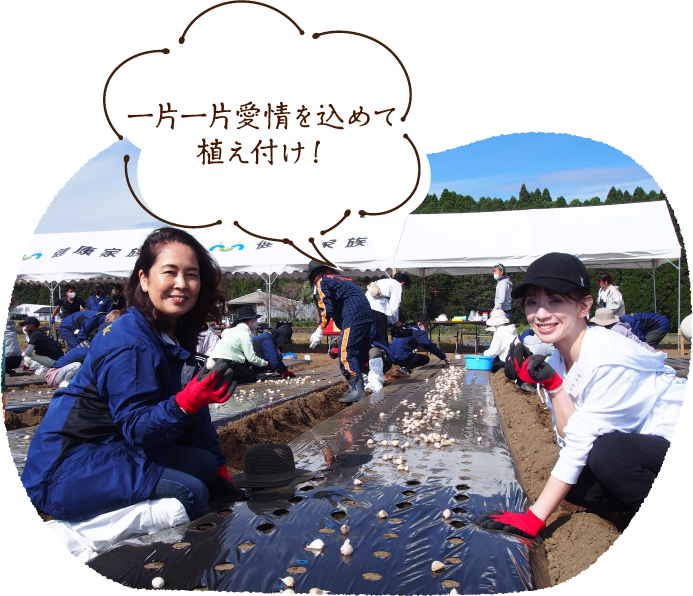 一片一片愛情を込めて植え付け!
