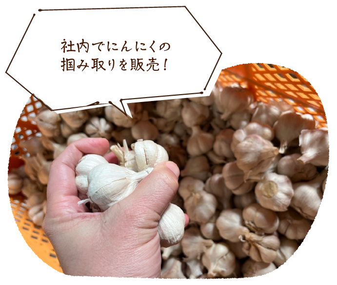 社内でにんにくの掴み取りを販売!
