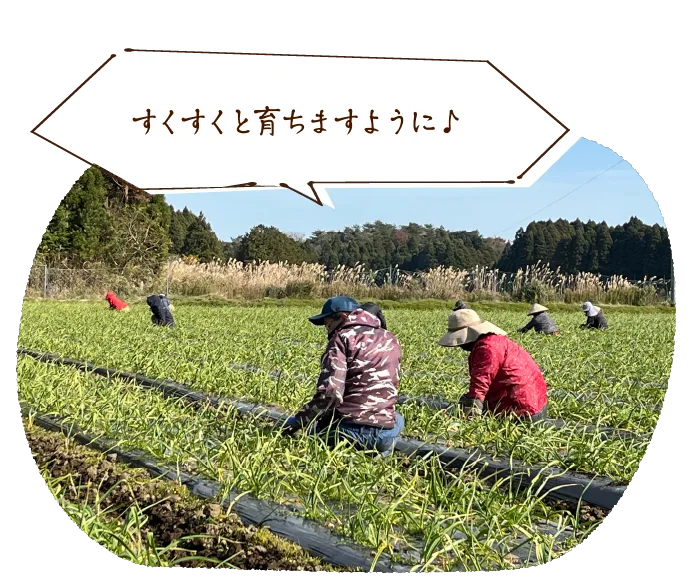 すくすくと育ちますように♪