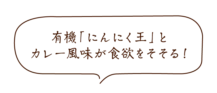 旨すぎにんにくカレー塩