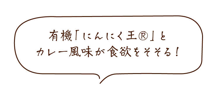 旨すぎにんにくカレー塩