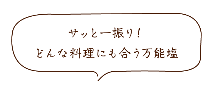 旨すぎにんにく塩