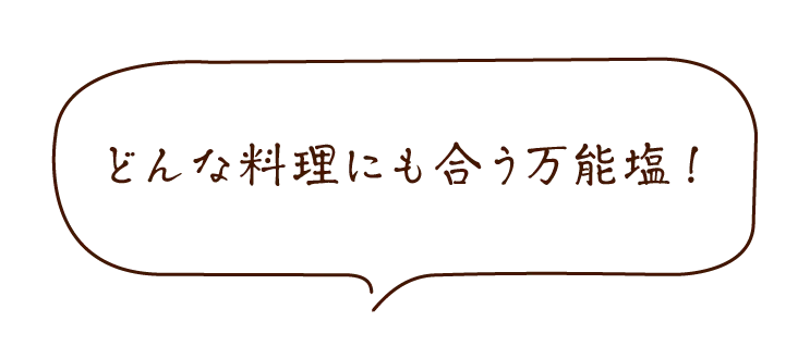 旨すぎにんにく塩