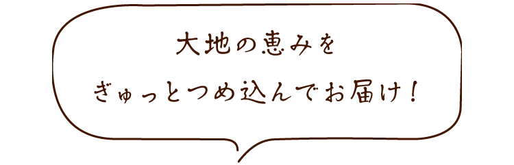 大地の恵みをぎゅっとつめ込んでお届け！