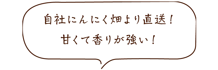 自社にんにく畑より直送！甘くて香りが強い！