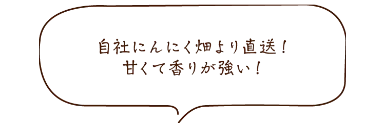自社にんにく畑より直送！甘くて香りが強い！