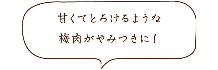 甘くてとろけるような梅肉がやみつきに!