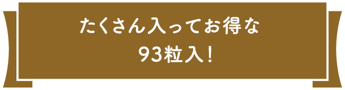 たくさん入っておトクな93粒入り