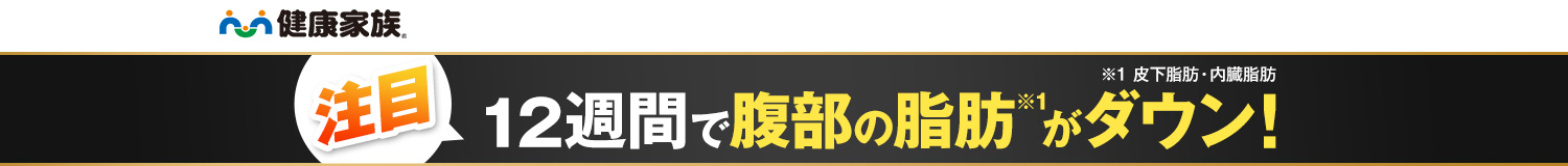 12週間で腹部の脂肪※1がマイナス13.8cm2!