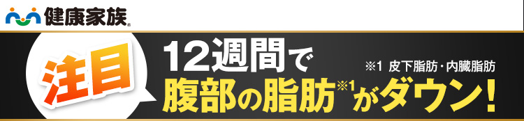 12週間で腹部の脂肪※1がマイナス13.8cm2!