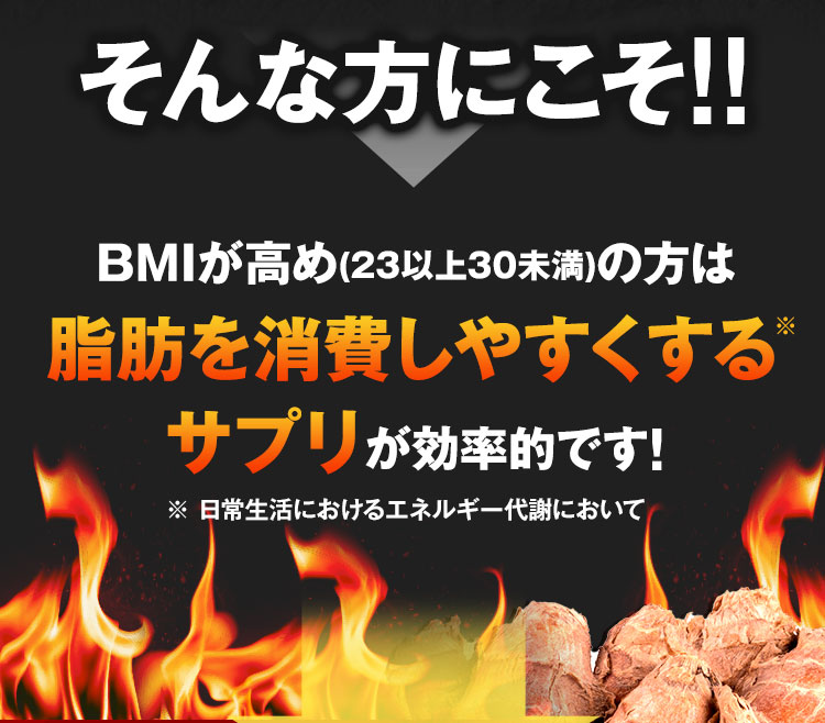 そんな方にこそ!!BMIが高め(23以上30未満)の方は脂肪を消費しやすくするサプリが効率的です!