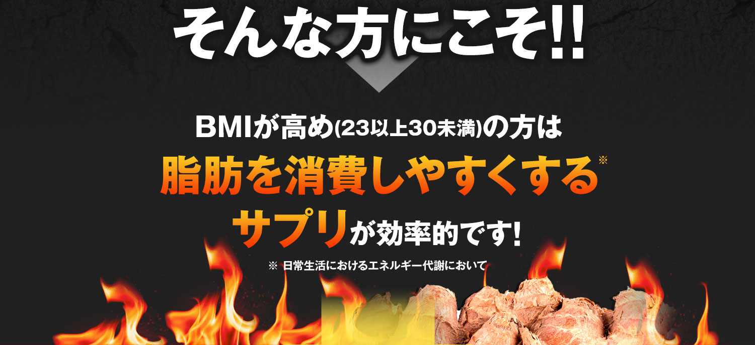 そんな方にこそ!!BMIが高め(23以上30未満)の方は脂肪を消費しやすくするサプリが効率的です!